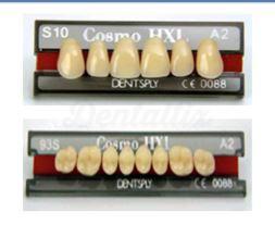 COSMO HXL dents antérieures supérieures S18