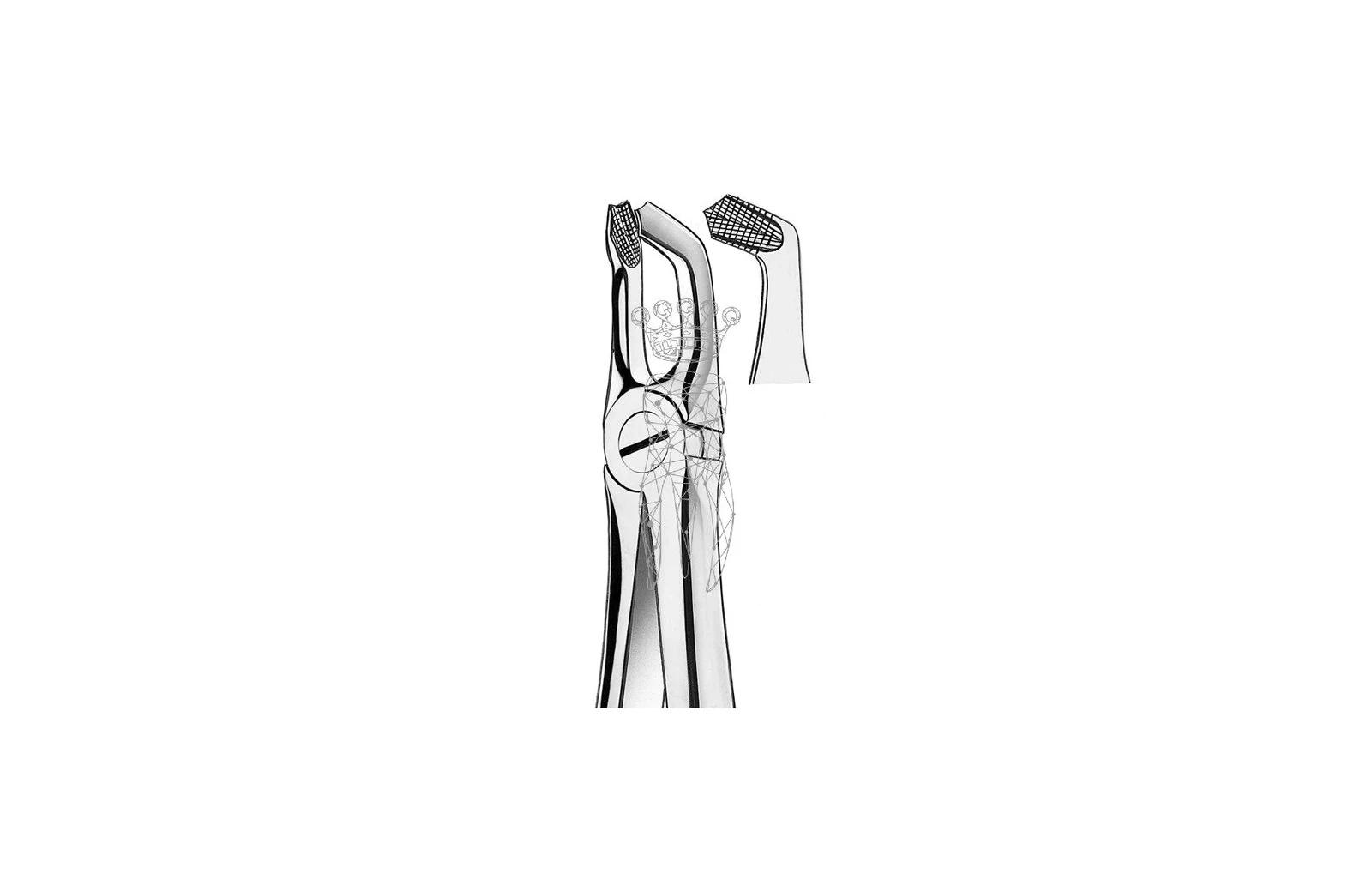 Extractietang Buchs M2079