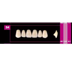 COSMO HXL dents antérieures supérieures S2