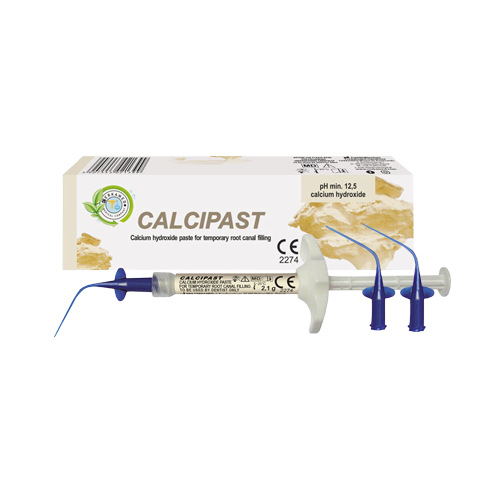 CALCIPAST (2,1G)