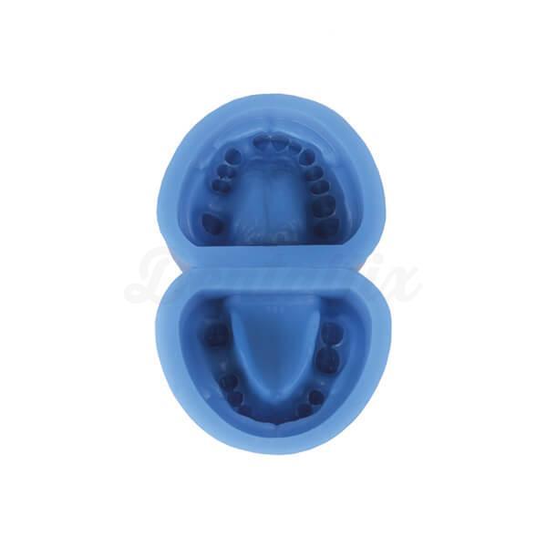 Moule en silicone pour prothèses dentaires édentées