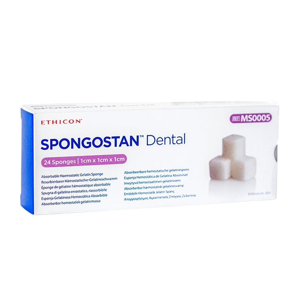 SPONGOSTAN (24)
