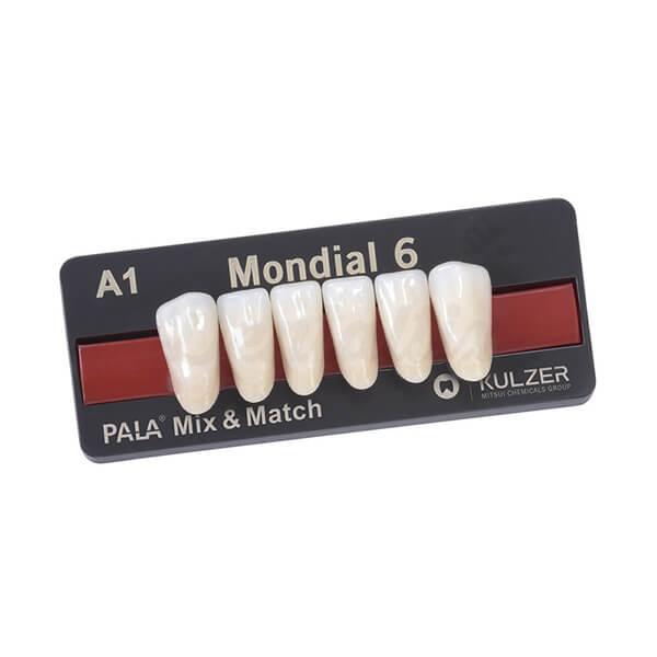 Dents inférieures antérieures Mondial L315
