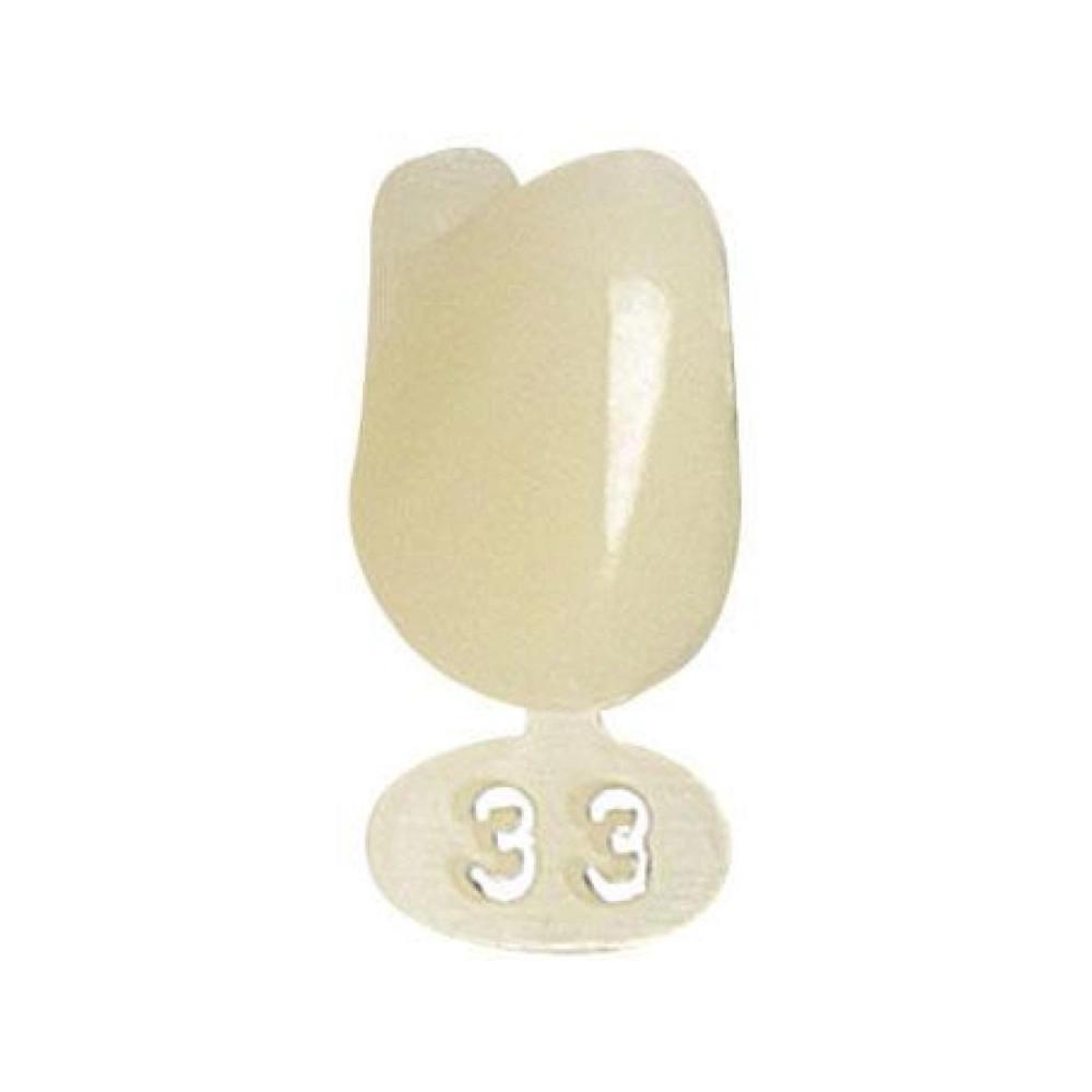 P.D. couronnes polycarb. no.33 5 pcs