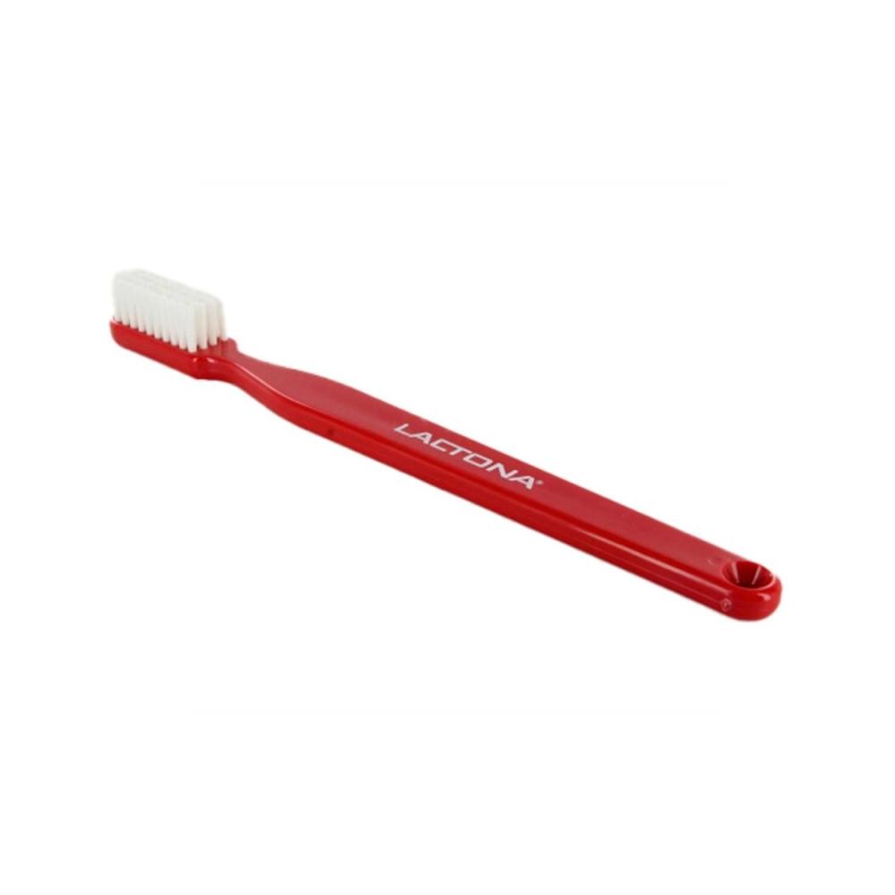 Lactona Grande brosse à dents pour démonstration sur modèle