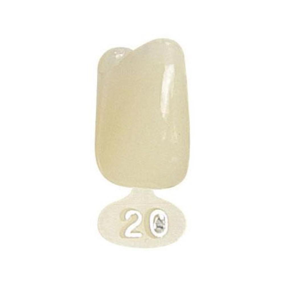 P.D. couronnes polycarb. no.20 5 pcs