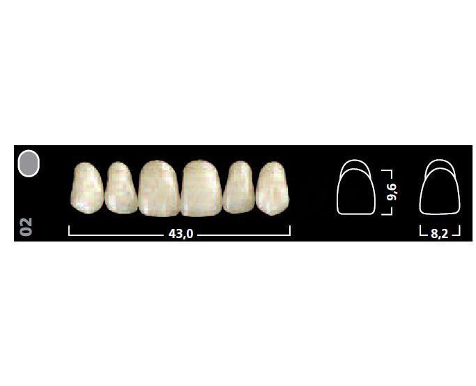 Ivostar dents supérieures antérieures AD 33