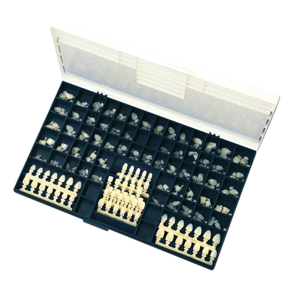 COURONNES PROVISOIRES EN POLYCARBONATE SANS BARETTES-GUIDES (180)