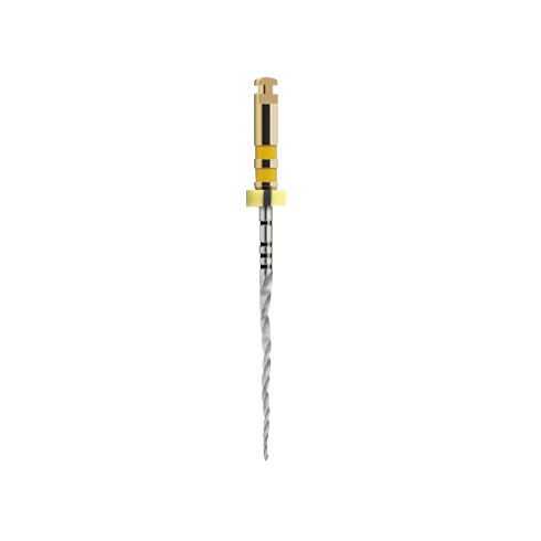 PROTAPER NEXT (6)