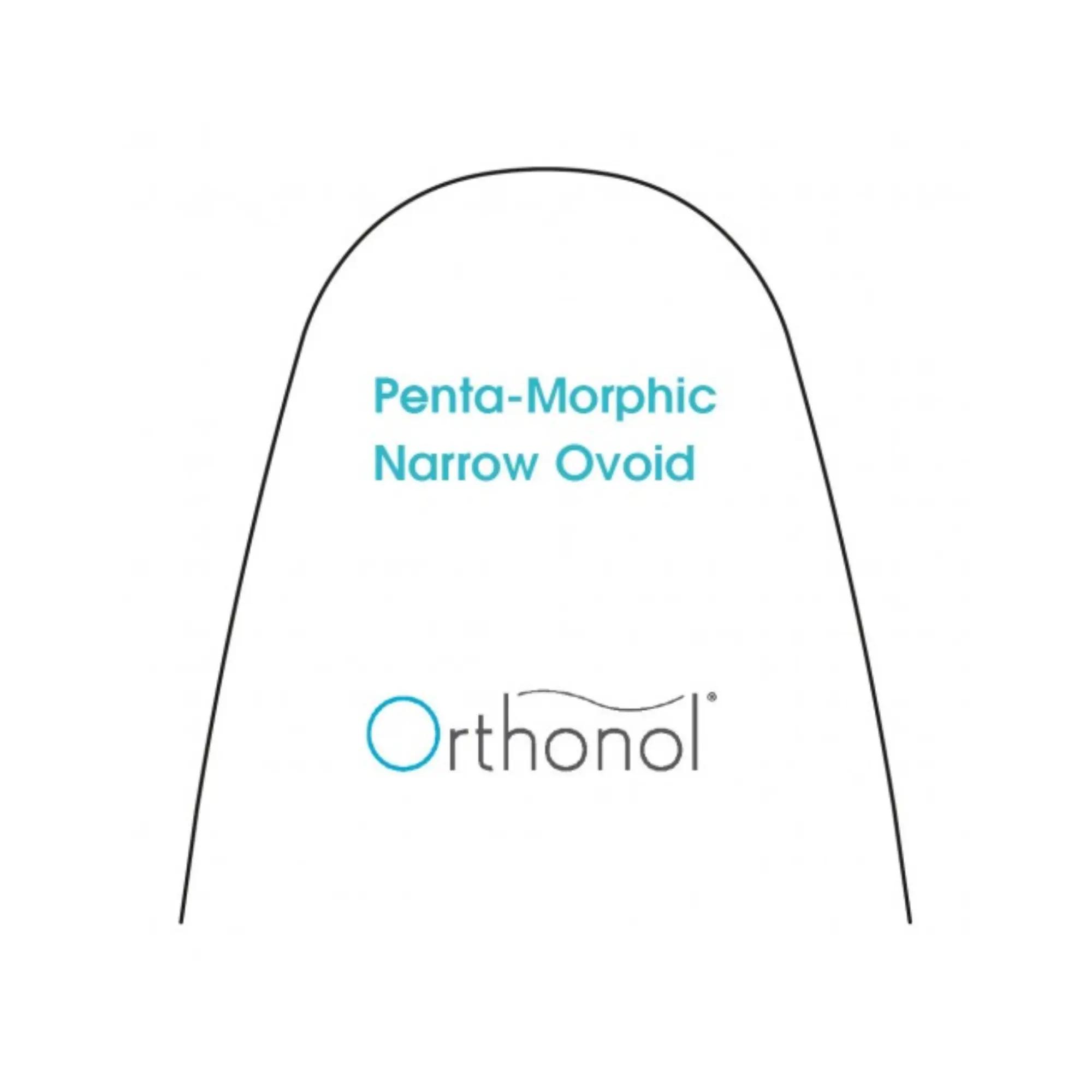 Arch Biolastic Penta-Morphic Universal Narrow Ovoid (10)