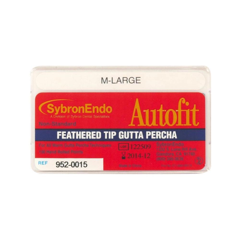 System B Gutta Percha points ML 100 pcs