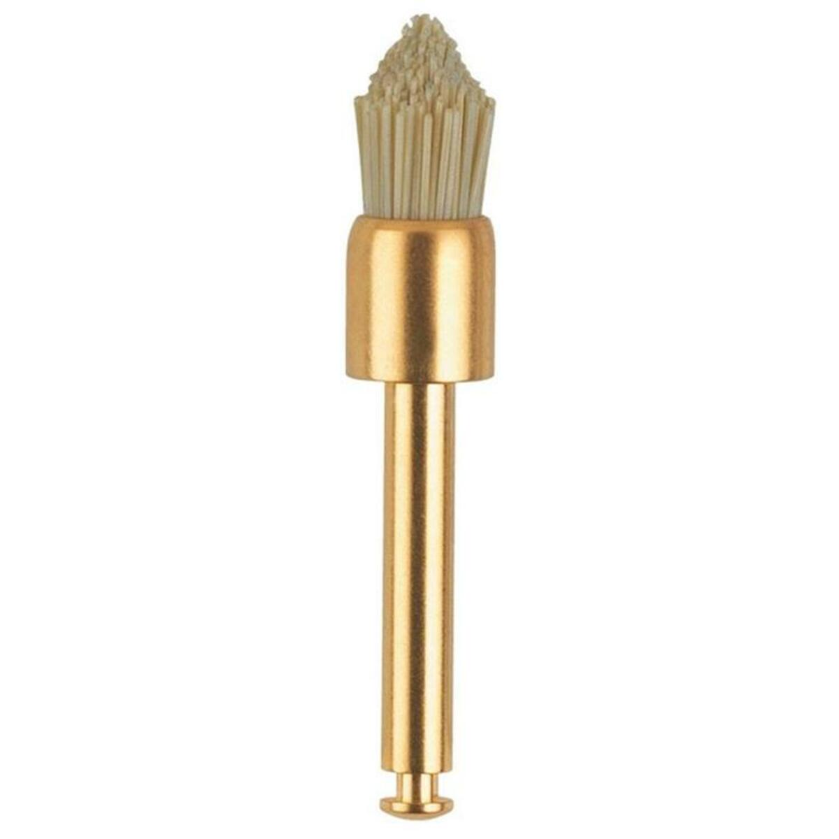 Occlubrush Point RA