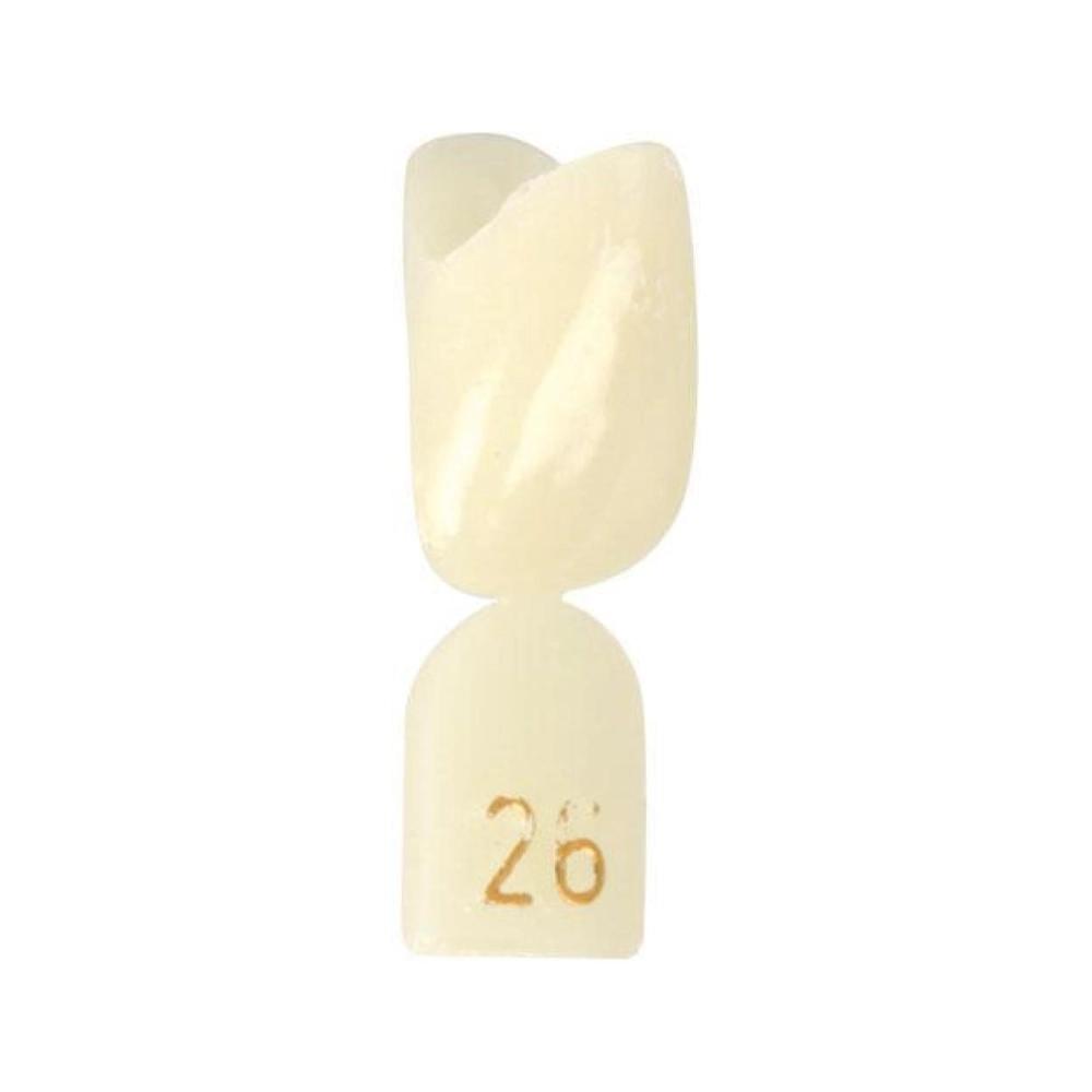 Directa couronnes no.26 5 pcs