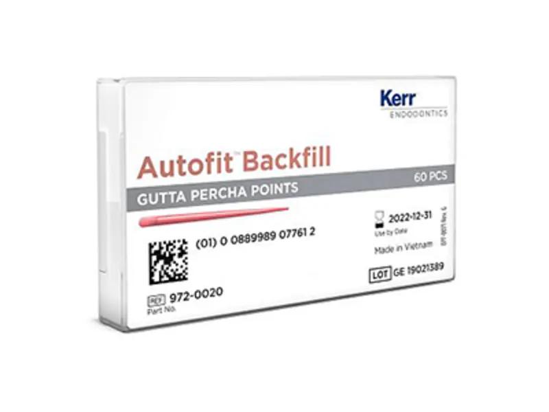 Pointes  Gutta Autofit
