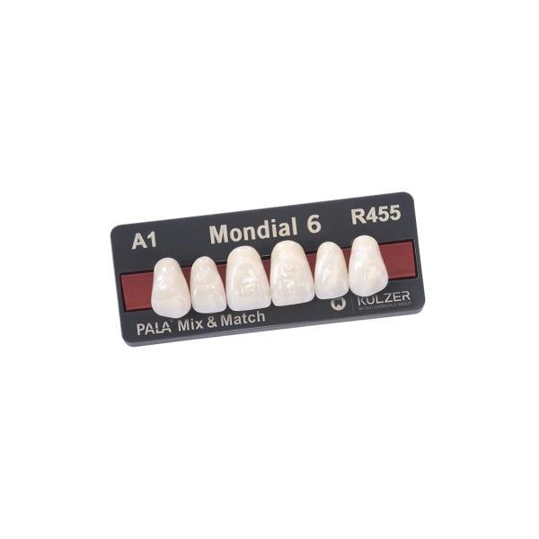 MONDIAL dents antérieures supérieures R449