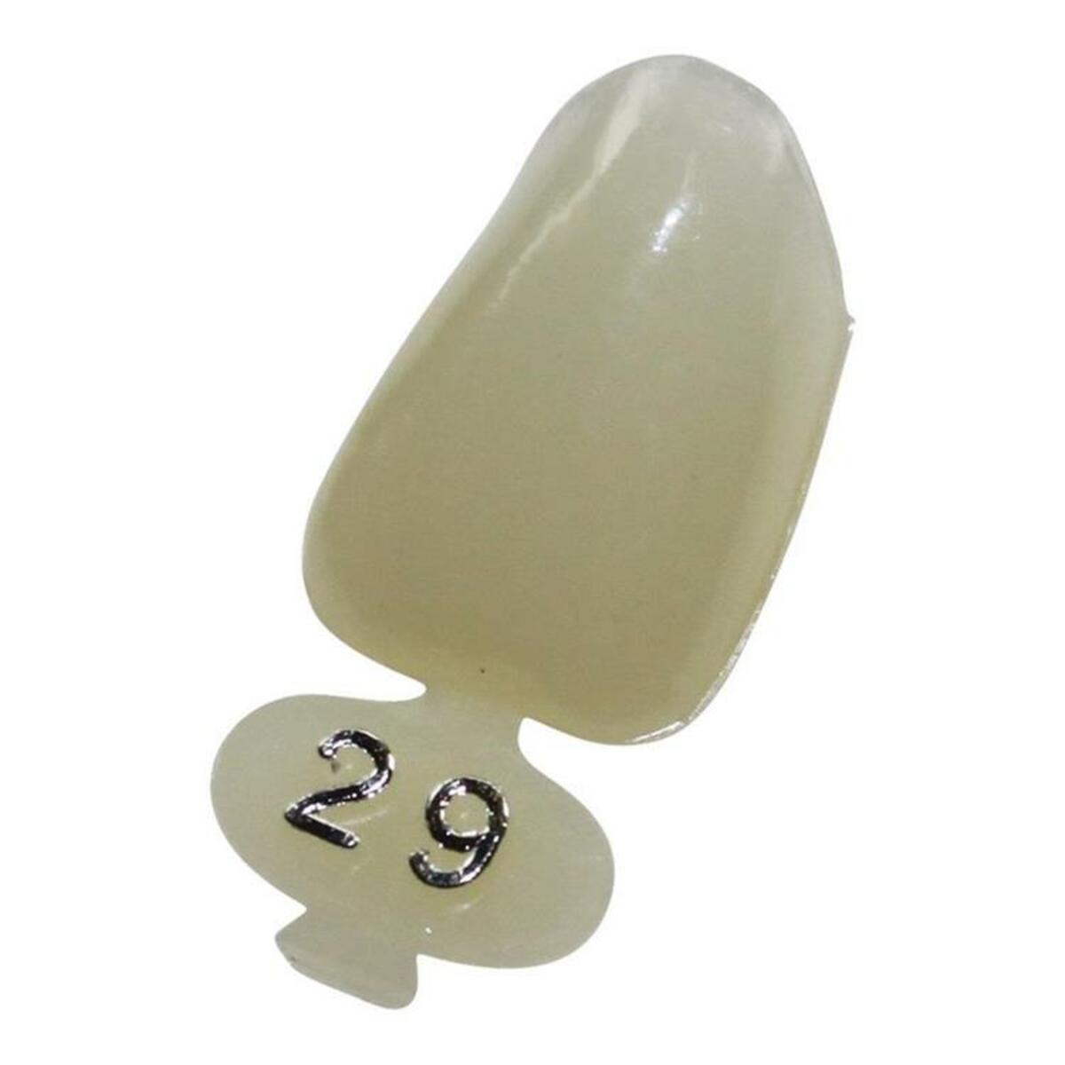 Directa temporary crowns TR Lateral UL