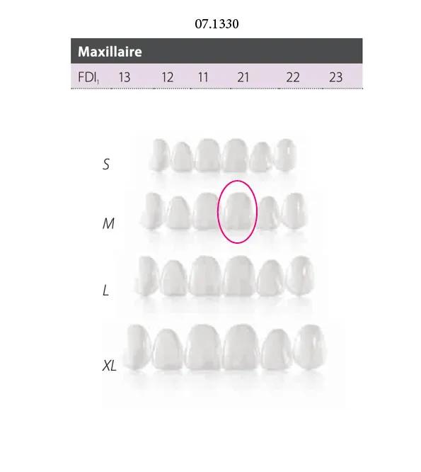 Facettes Componeer Superior M 60023131