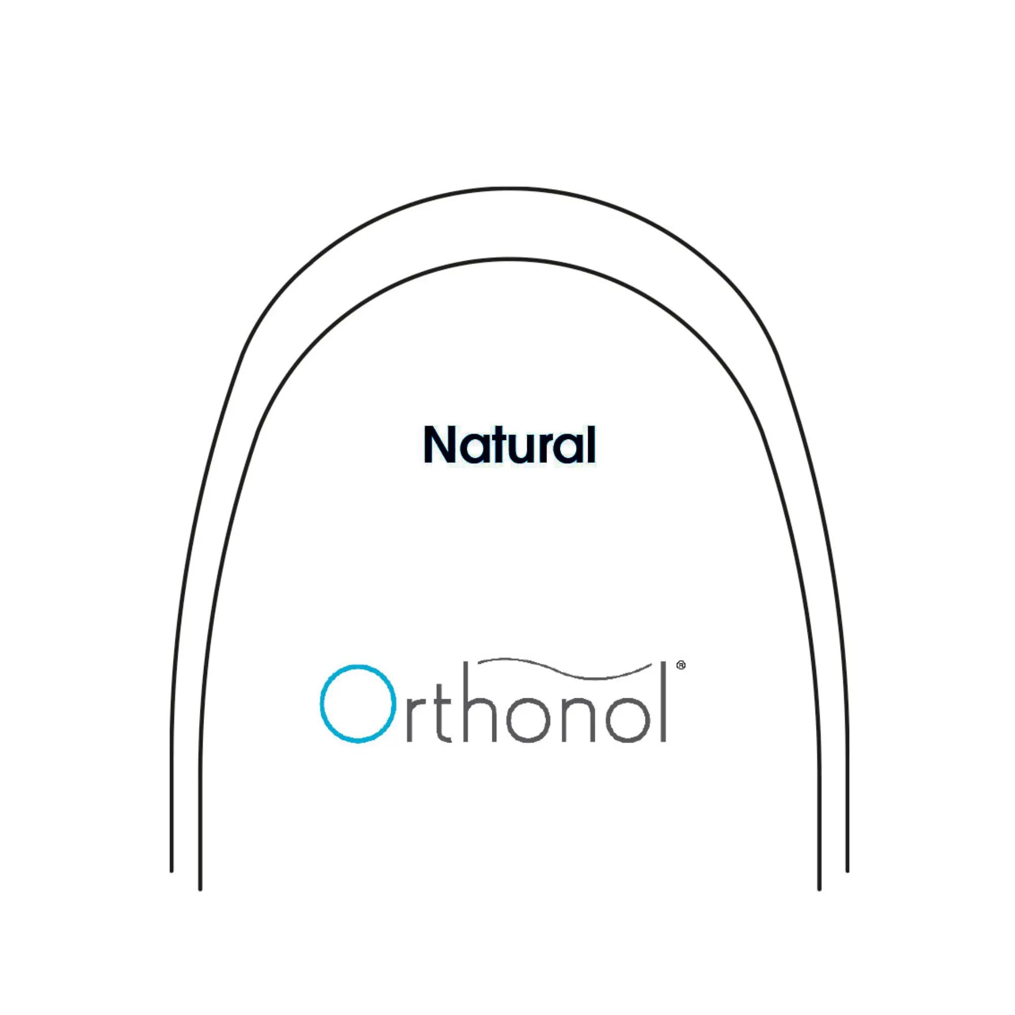 Arch Orthonol SuperElastic Nickel Titanium Natural Form