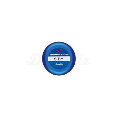 Cercon Ceram Kiss Stand By - céramique de revêtement (20 g)