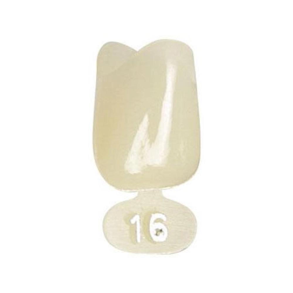 P.D. couronnes polycarb. no.16 5 pcs