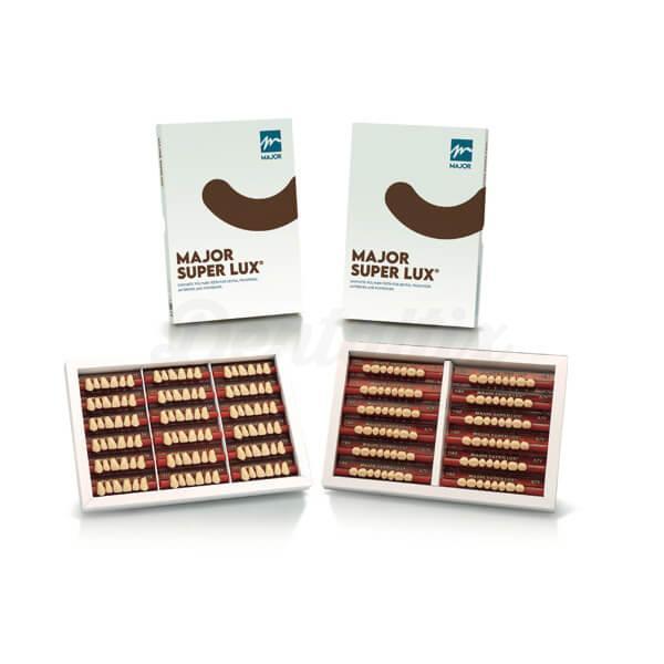 Major Super Lux IVO dents antérieures supérieures (6)