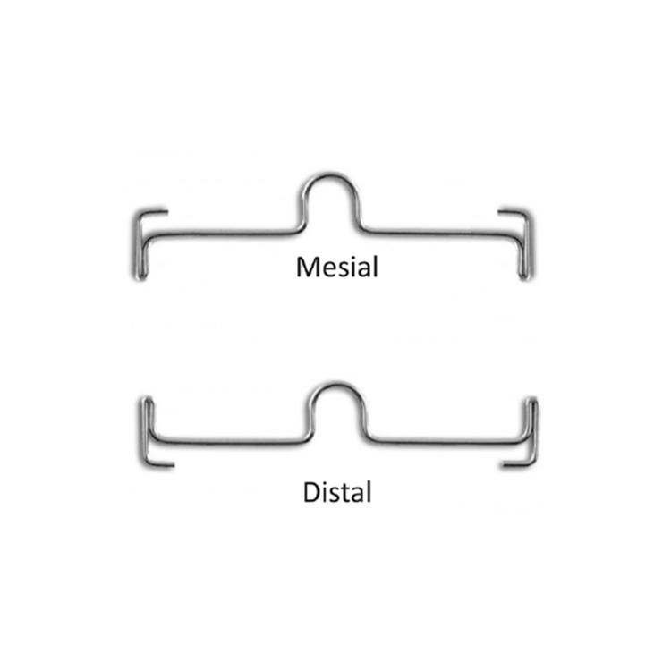 Arcs transpalatins