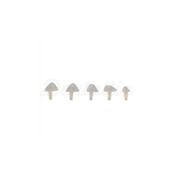 SeptoMatrix Sectional : Système de matrice sectionnelle pour la restauration des caries