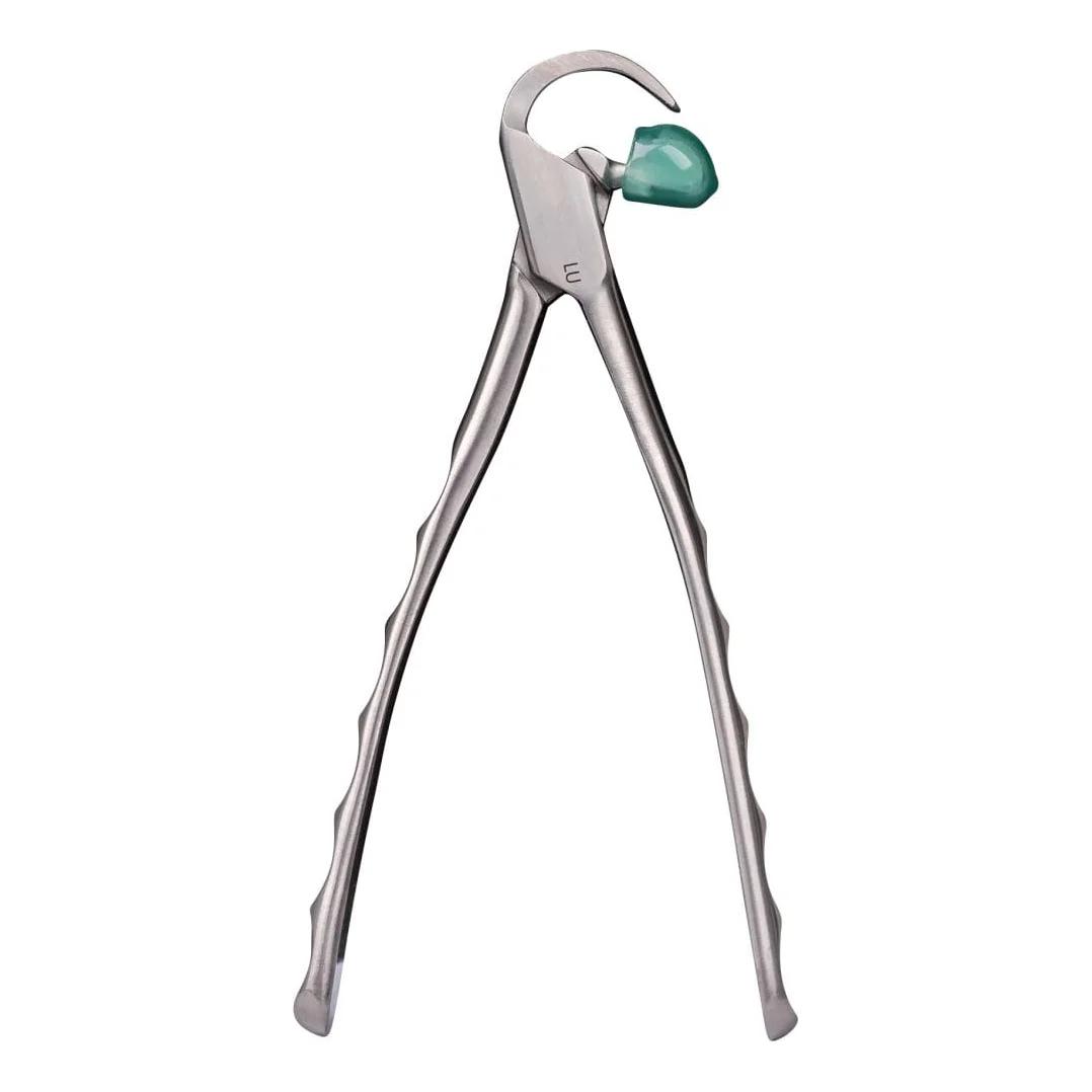 Physics Forceps Lower Universal GMX 200