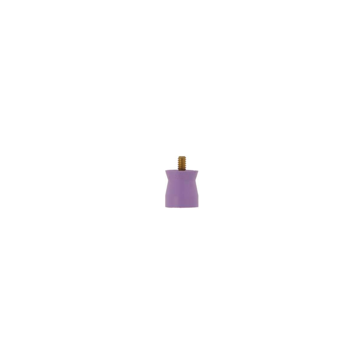 Young® Petite Web™ Cupules à polir sans latex Screw-in - souple (violet)
