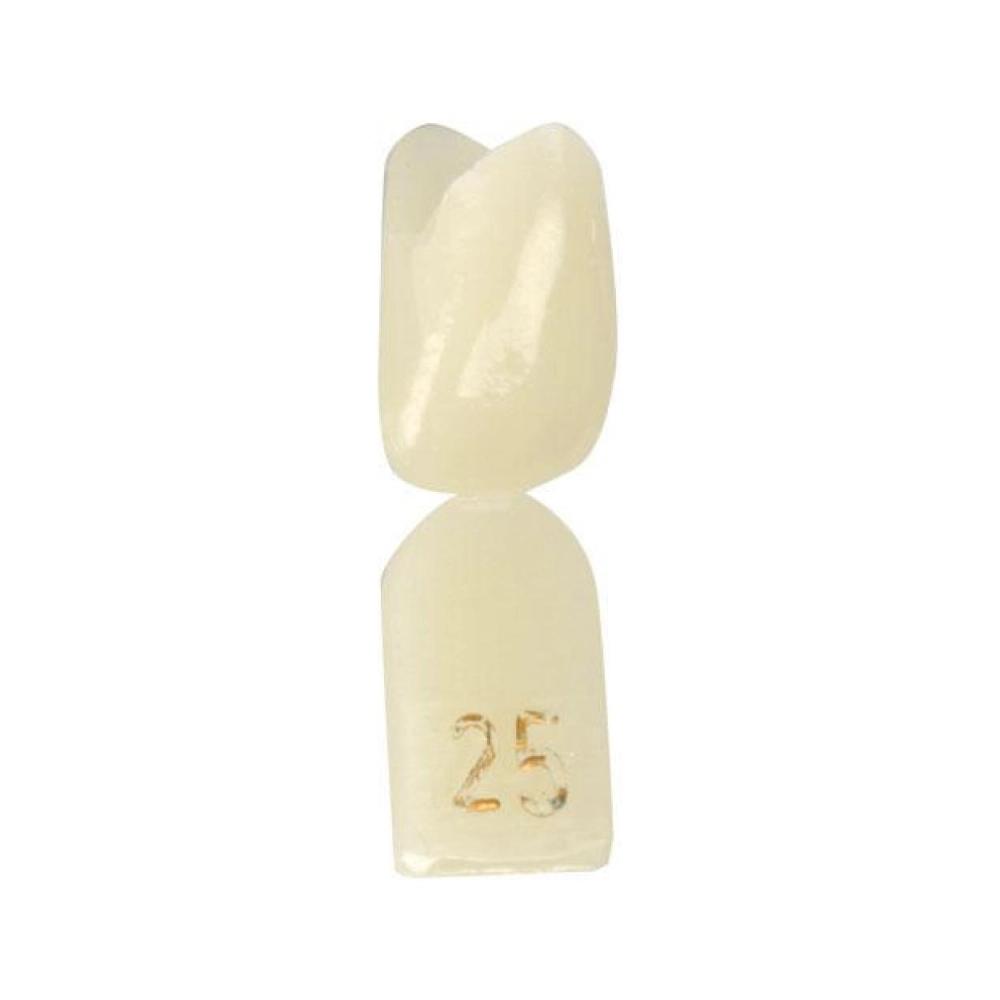 Directa couronnes no.25 pcs