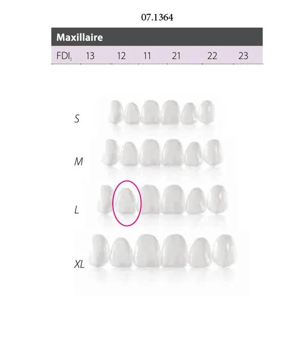Facettes Componeer Upper L Enameluniv60023171