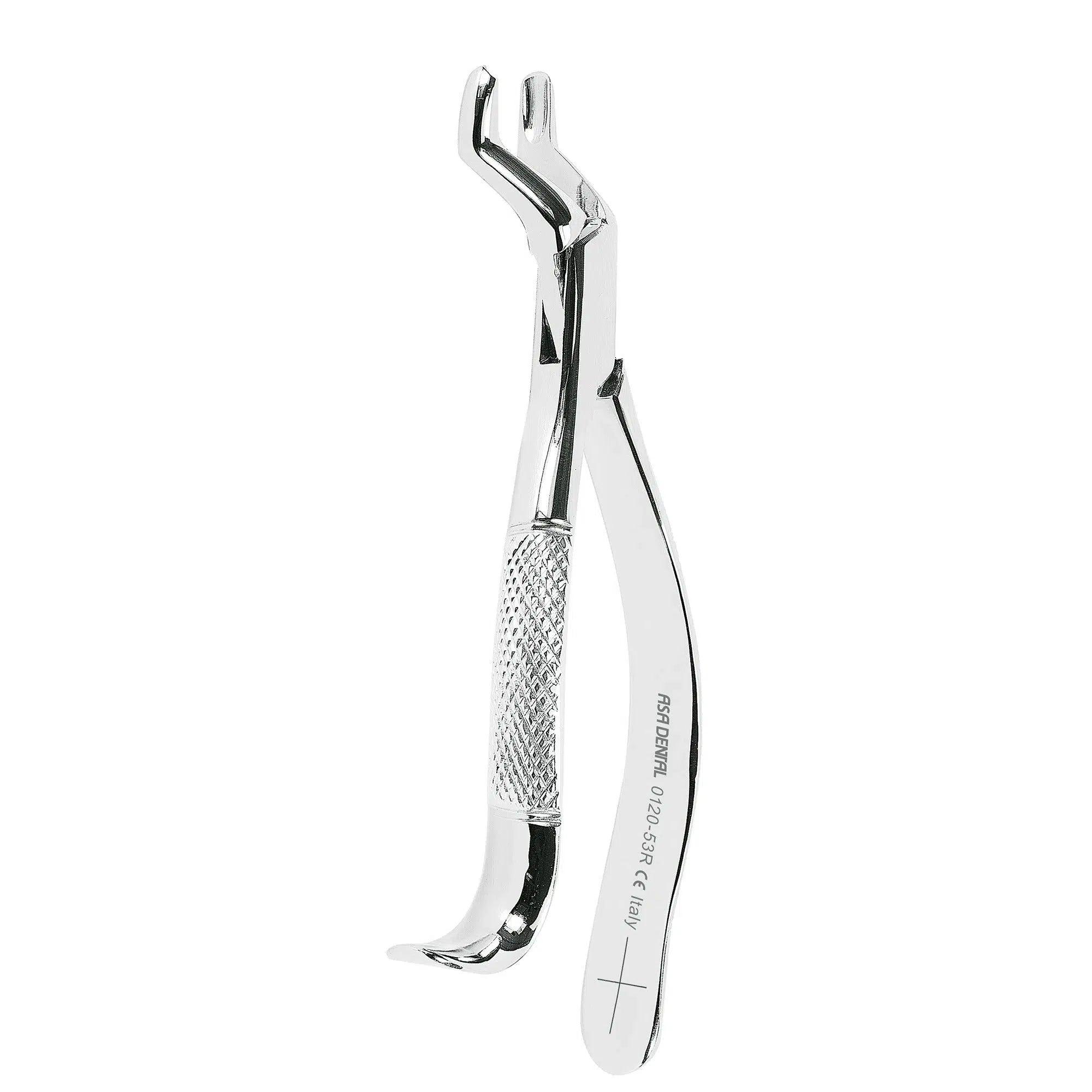 Davier américain Asa Dental #53R mors lisses (19 cm)