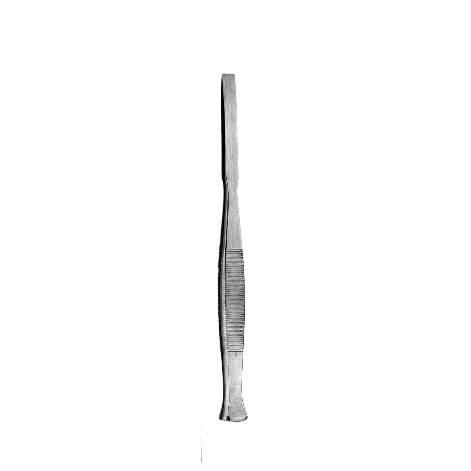 Scharen Buser 6