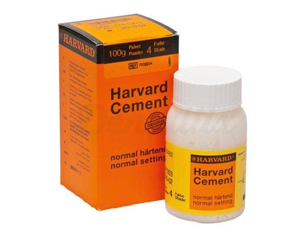 Harvard Cement - Poudre (100g) - Regular Set