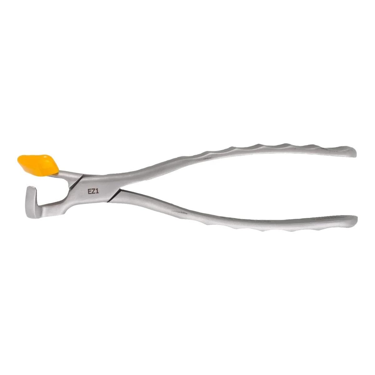 Physics Forceps Molar GMX 400 EZ1