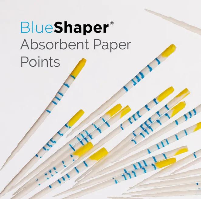 Point Papier Blueshaper Z4
