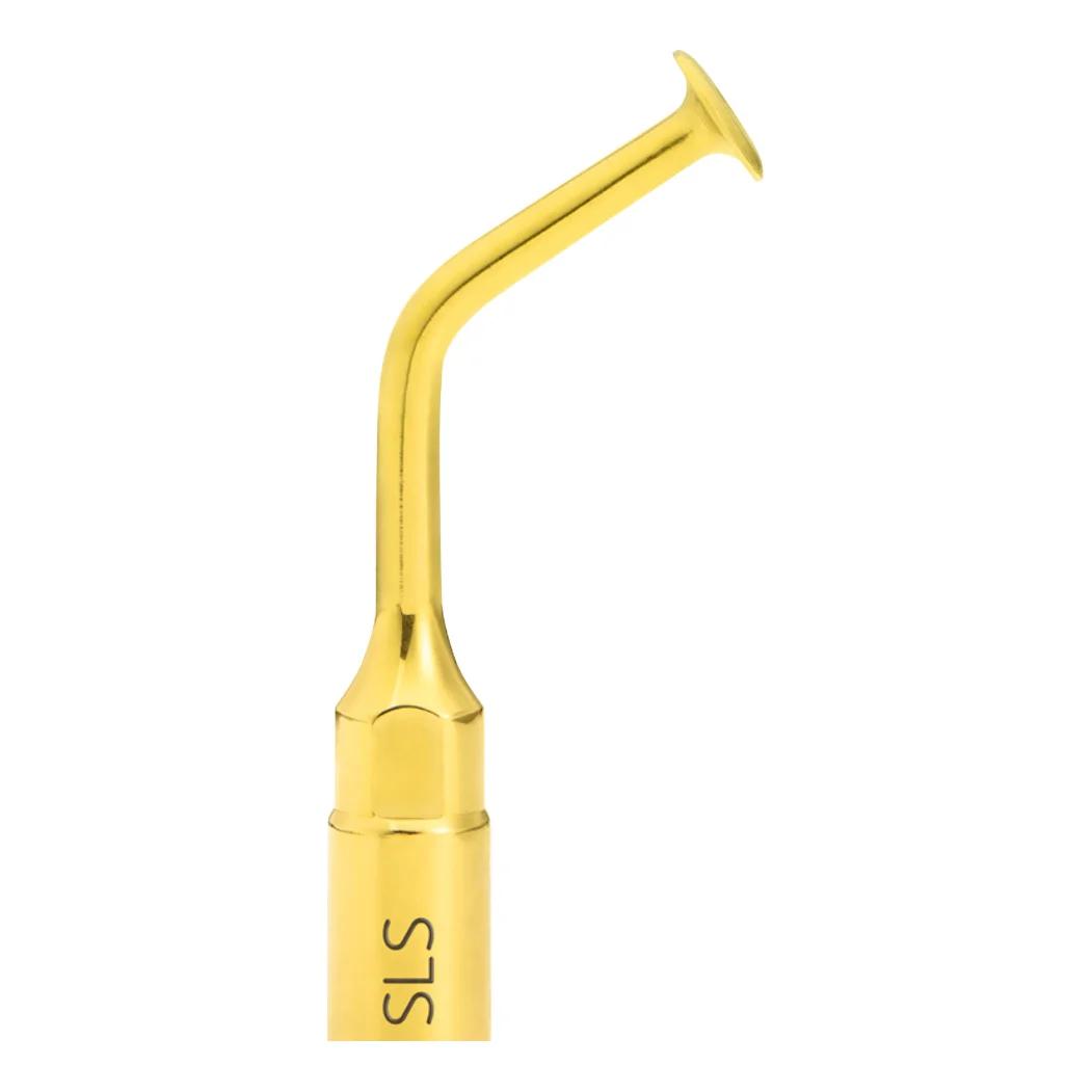 INSERT SLS ADF 2026