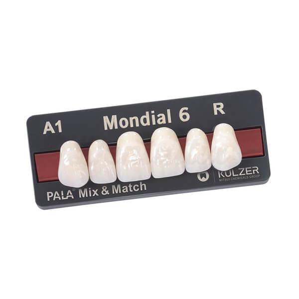MONDIAL dents antérieures supérieures R410