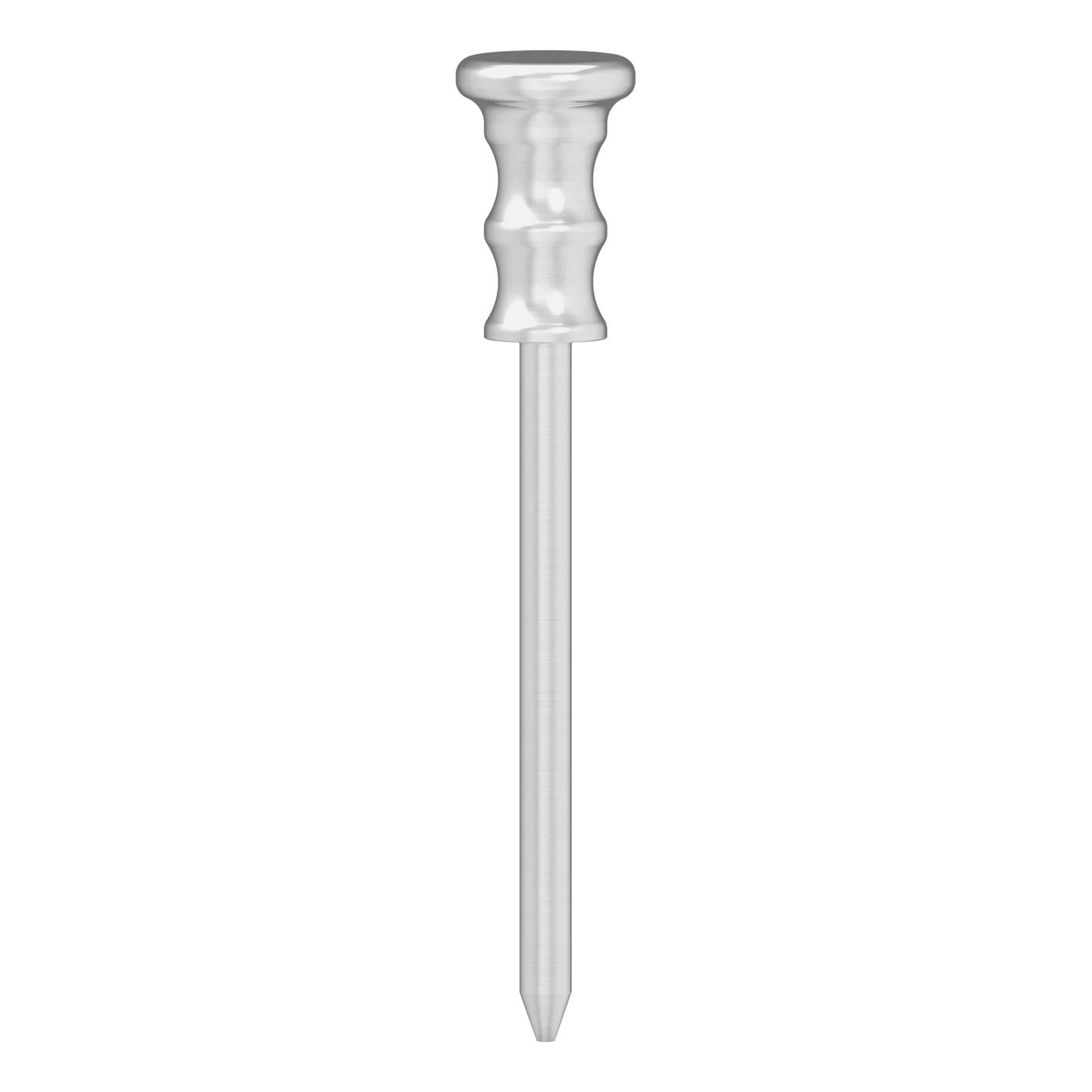 GS Fixation pin