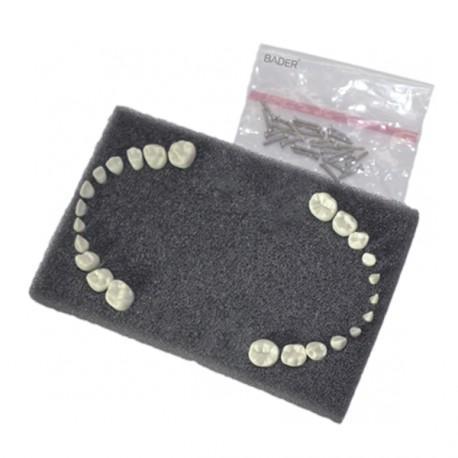 Dents de Rechange pour Enfants