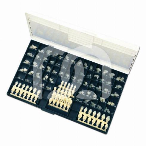 Couronnes provisoires en polycarbonate (5)