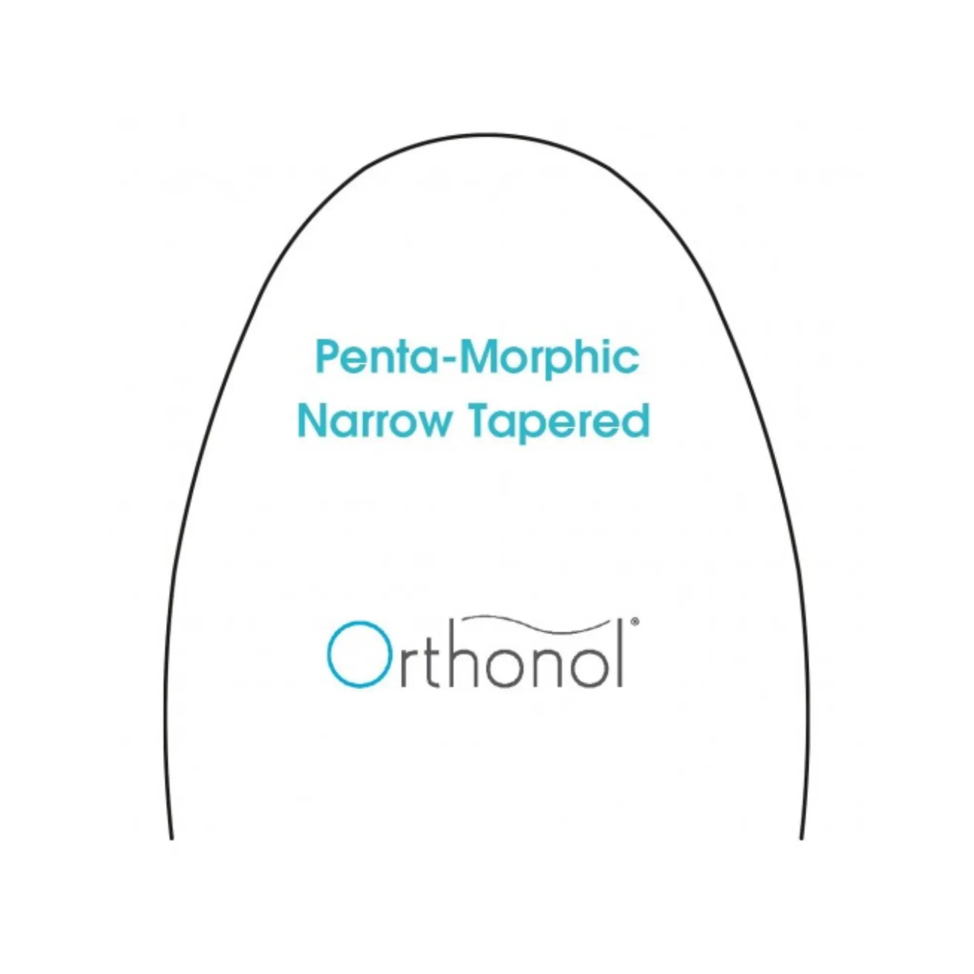 Arch Biolastic Penta-Morphic Universal Narrow Tapered (10)