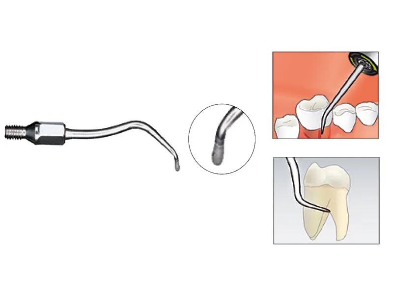 Insert SONICflex rootplaner n° 24A