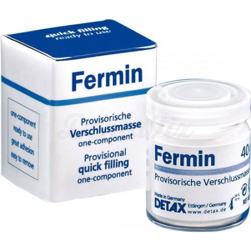 Fermin tijdelijk vulcement (40 g)