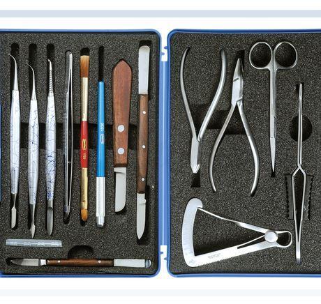 Set d'instruments dentaires Standard : assortiment