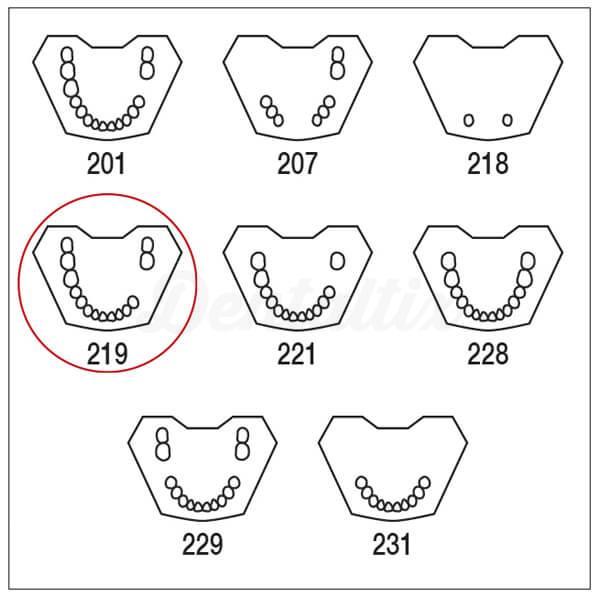 Typodont AG-3 : Modèle de mâchoire partiellement dentée TWUK et TWOK