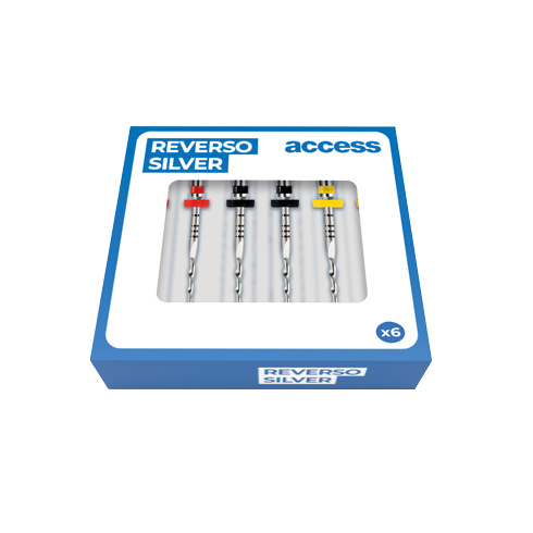 REVERSO SILVER KIT (6)