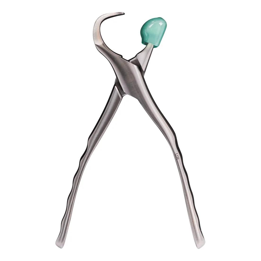Physics Forceps Upper Right GMX 50