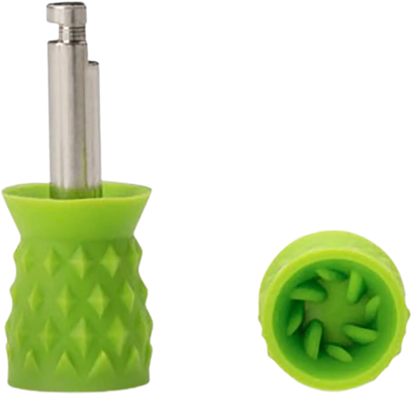 CUPULES ET BROSSETTES PROPHY (100) SHORT