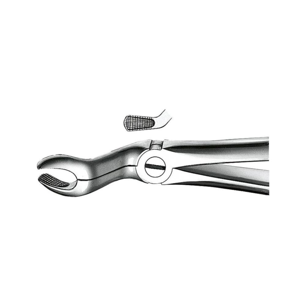 Davier Forme Anglaise  0067A
